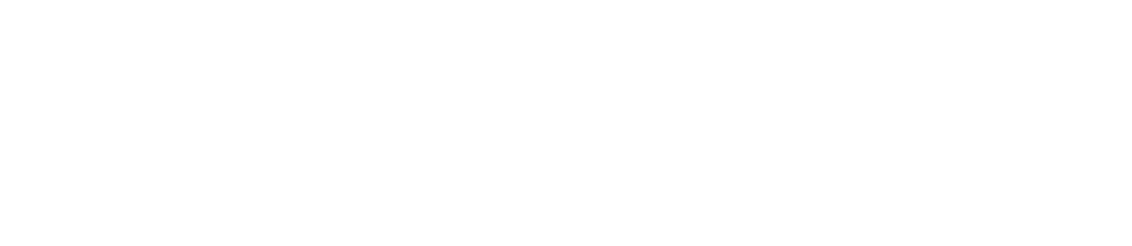 Naporto Proteção Veicular